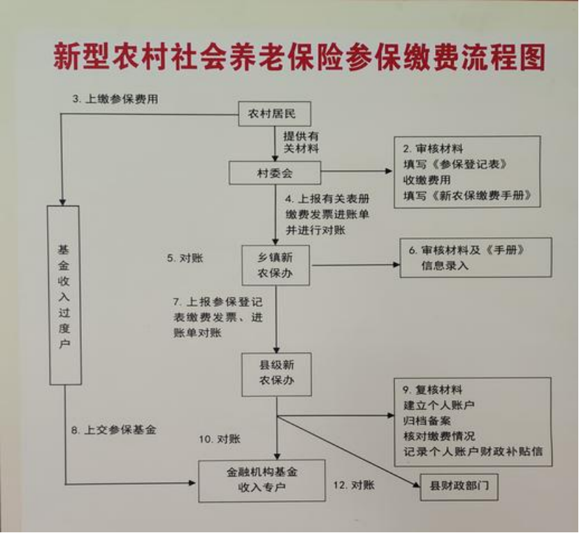 江津农村医保和社保有什么区别(农村医保跟社保的区别)
